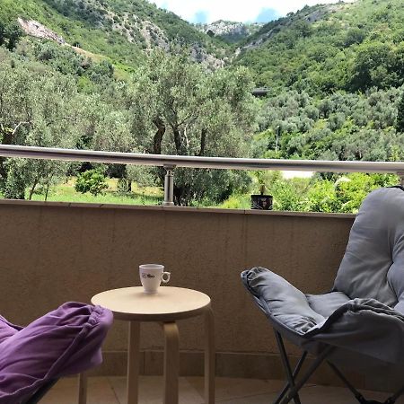 Petrovac Vila V Lux Apartments מראה חיצוני תמונה